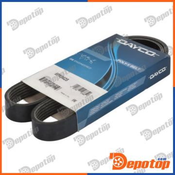 Jeu de courroies trapézoïdales pour PEUGEOT | DAYCO 6PK962S